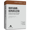 组织战略、结构和过程 商品缩略图0