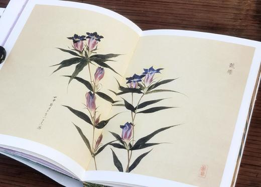 《草木集》，32开，平装，三口刷边，柳田国男等著，九州出版社2025年8月一版一印，定价78，售价62.4元。 商品图4