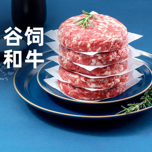 【小牛凯西】 牛肉馅饼儿童营养早餐半成品酥脆牛肉馅饼500g*4 商品图1