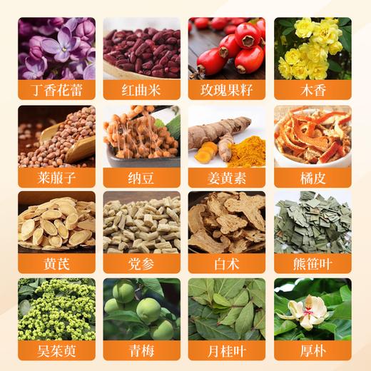 ✨胃糟了，口才臭？日本【中岛健康和胃养元贴】  「胃救星」⭐一贴告别“胃隐患”😍7天养好胃，轻松养出“铁打胃”👍 商品图2