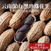 云南老品种黑花生250g/袋 天然富硒的好食材 颗粒大 饱满香脆 商品缩略图1