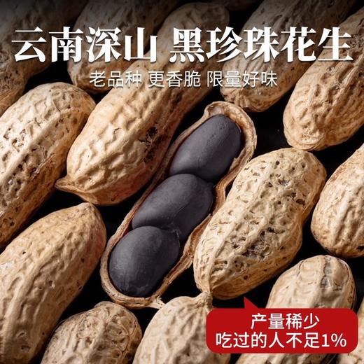 云南老品种黑花生250g/袋 天然富硒的好食材 颗粒大 饱满香脆 商品图1