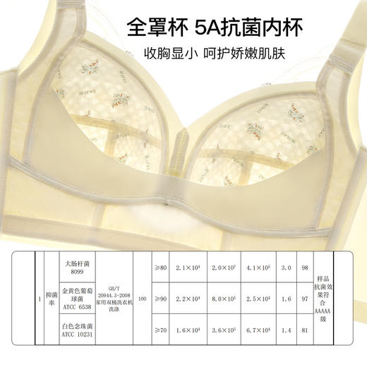 【大胸显小】5A抑菌全罩杯蕾丝调整型内衣女提拉防垂收副乳文胸云依墨韵 商品图6
