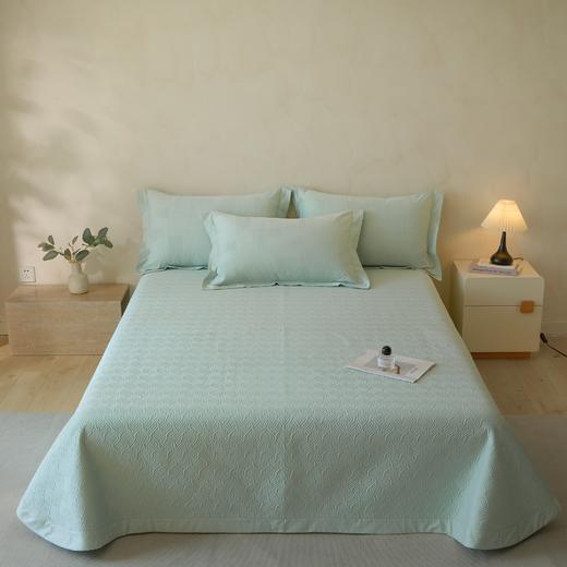 自然醒轻奢高支浮雕立体提花单件床盖HS 商品图2