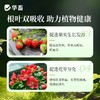 植物营养液通用型花草盆栽水培绿萝多肉发财树富贵竹专用花卉肥料 商品缩略图6