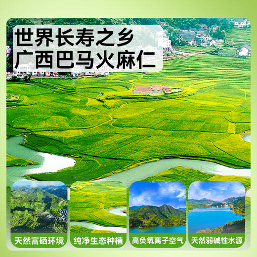 广西巴马有机火麻仁 即食脱壳 250g 商品图3