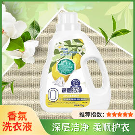 【MAY FLOWER】五月花家清系列APG深层洁净去渍抑菌0添加洗衣液
