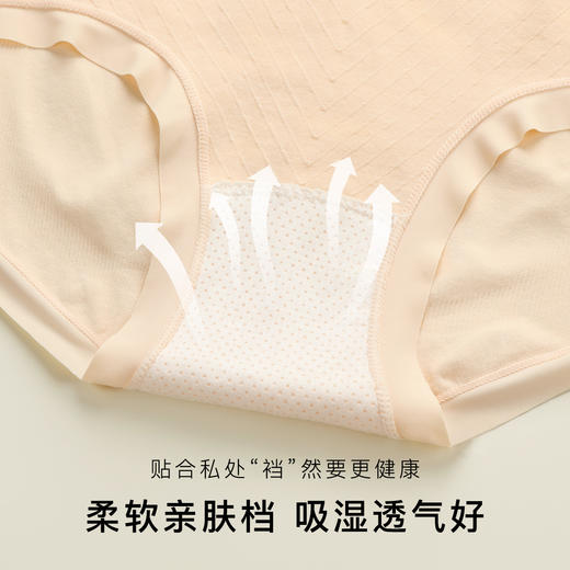 【加肥加大3条装】针织无缝裸感内裤女胖MM专属高腰蜜桃臀内裤370青瑶内裤 商品图4