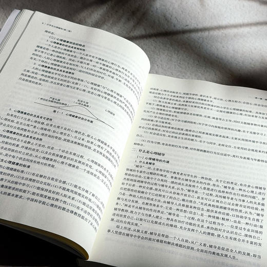 小学生心理辅导 第二版 高等院校小学教育专业教材 王国锋 黄月胜 商品图8