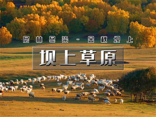 五一2日【坝上草原】越野车·京北第一草原·闪电湖·七彩森林·篝火 商品图11