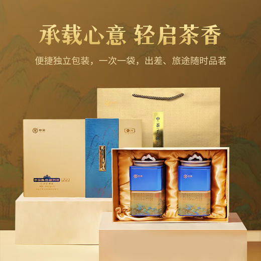 中茶千山陈香普洱-180g 商品图3