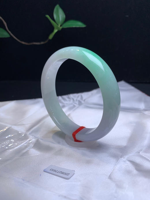 620695，58.5 飘绿正圈手镯，15.3-9.4mm 宽版条型 一节清新绿底，润润的 商品图4