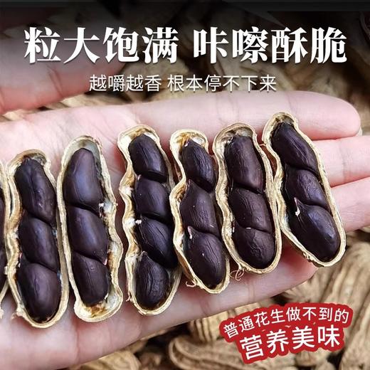 云南老品种黑花生250g/袋 天然富硒的好食材 颗粒大 饱满香脆 商品图3
