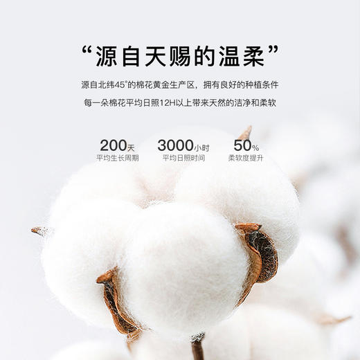 【5条装】7A抑菌100%底棉裆中腰内裤女棉柔舒适高弹透气4926爱心熊内裤 商品图3