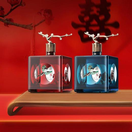 心选丨五粮液仙林生态 官方授权 52度优级酒 52度 500mL 2瓶 奢享·四方见喜礼盒白酒 商品图2