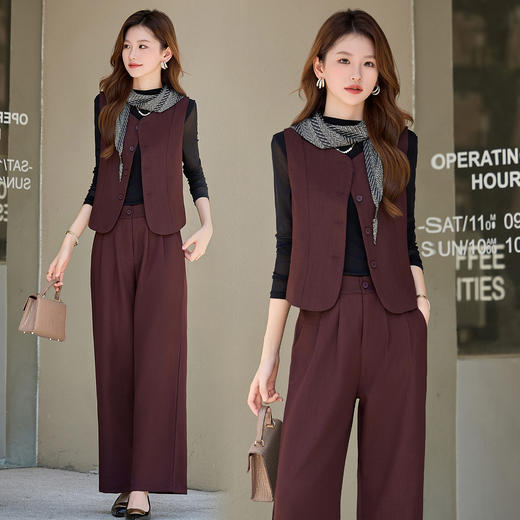 2025年秋装新款气质休闲减龄百搭无袖马甲上衣阔腿裤两件套送丝巾HR-HMQY8262 商品图1