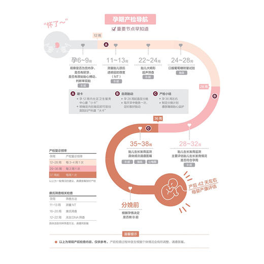 科学孕育：我的怀孕月历 应豪 段霞 以挂历的形式组织内容 为孕妈妈提供一个清晰 实用的孕期指南 9787117382229 人民卫生出版社 商品图3