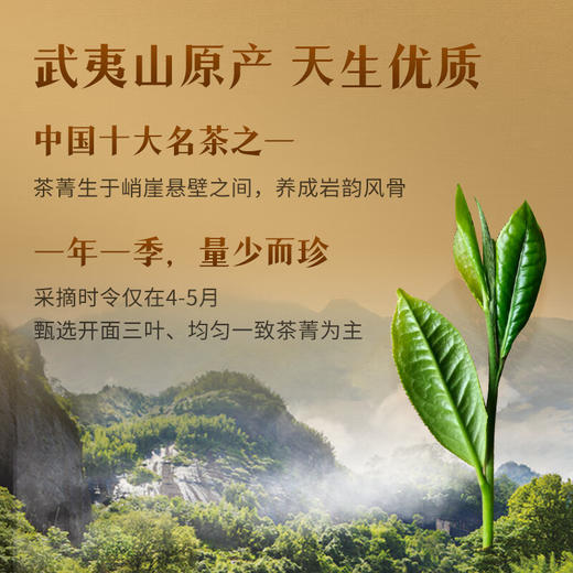 中茶千山·大红袍（升级款）-180g 商品图1