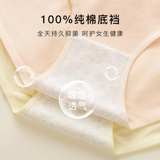 【7A抑菌 纯棉7条装】女士内裤舒适透气高弹不勒中腰提臀收腹1160#花季少女内裤 商品图4
