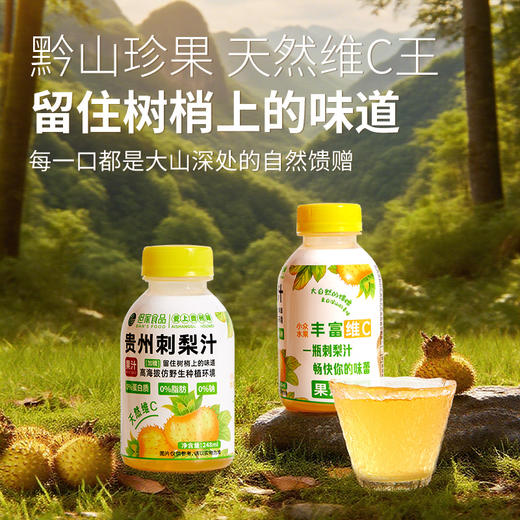 贵州特色刺梨复合饮品高VC刺梨原液鲜果汁饮料瓶装 商品图2