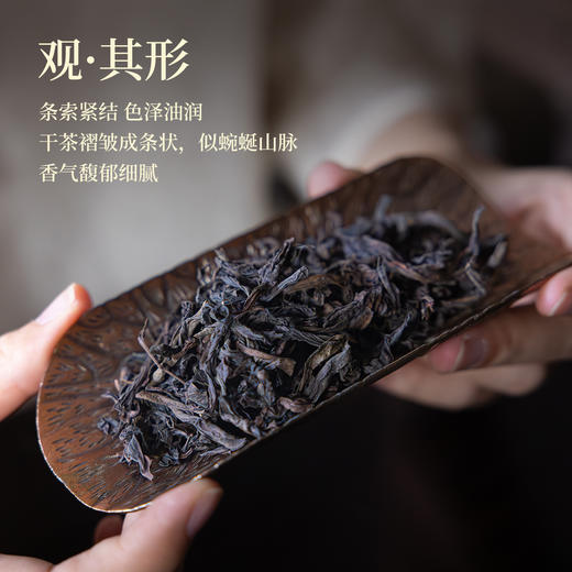 【尹哥的茶-武夷岩茶马头岩肉桂】尹哥的茶 武夷岩茶马头岩肉桂 匠心茶礼茶叶回甘透亮香气馥郁 12泡/盒 商品图2