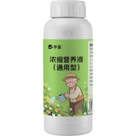 植物营养液通用型花草盆栽水培绿萝多肉发财树富贵竹专用花卉肥料 商品图9