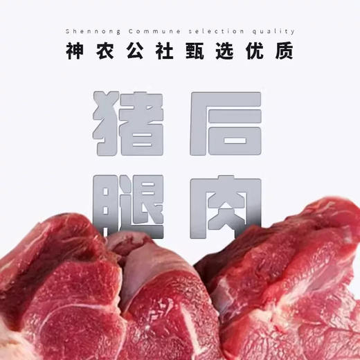 神农公社靖江猪肉脯原味108g 商品图2