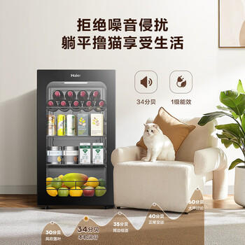 海尔（Haier）92L冰吧家用冷藏柜保鲜柜客厅办公室茶叶饮料透明迷你精致立式小冰箱一级节能DS092LHESD1 商品图4