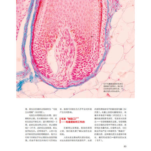 《科学世界》12期征订（共12本） 商品图14