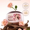 蔬果园天然香乌木玫瑰3合1洗衣凝珠10g*30 商品缩略图0