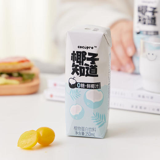 椰子知道0糖鲜椰汁250ml*10 商品图2