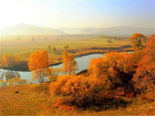 五一2日【坝上草原】越野车·京北第一草原·闪电湖·七彩森林·篝火 商品图13