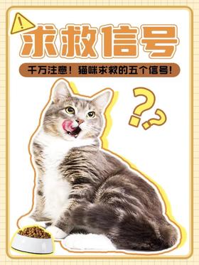 猫咪肠胃问题全攻略——养出钢铁胃！