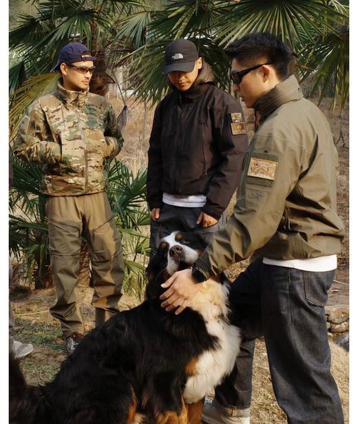 点此购买 始祖鸟leaf alpha GEN2 ALPHA JACKET春秋季男女款军鸟冲锋衣上衣 ggd 329836 商品图8