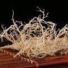 赶海弟龙须菜 100g 商品缩略图2