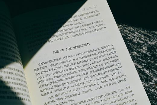 何帆签名本|《刑法注释书（第四版）》 商品图4