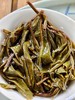 最后十几饼【姑娘寨单株】勐海明珠—姑娘寨古树单株，2023年头春茶，勐海干仓转化，超高！超高！超高性价比！357克/饼，拍5送1 商品缩略图3