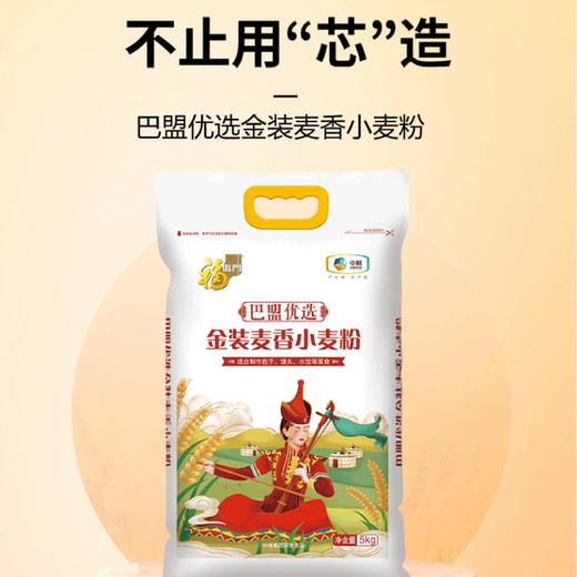 【自营】中粮福临门巴盟优选金装麦香小麦粉5kg 商品图1
