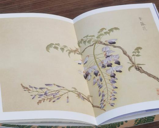 《草木集》，32开，平装，三口刷边，柳田国男等著，九州出版社2025年8月一版一印，定价78，售价62.4元。 商品图10