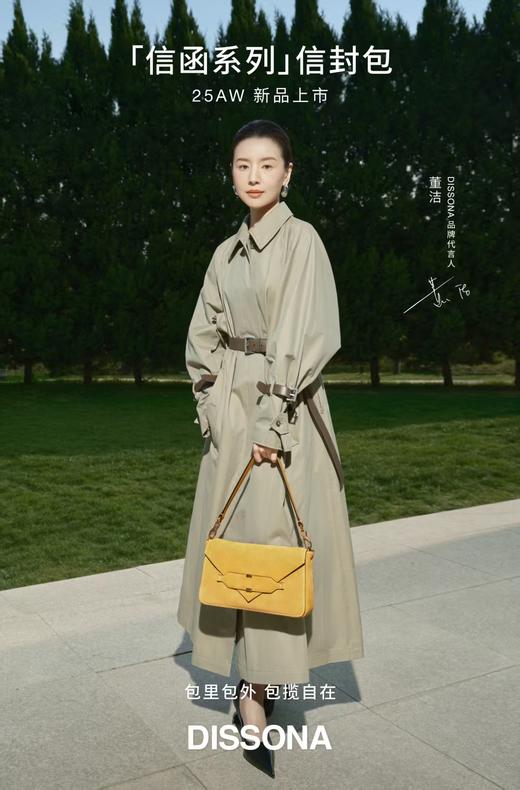 迪桑娜DISSONA迪桑娜手袋8253014801 商品图0