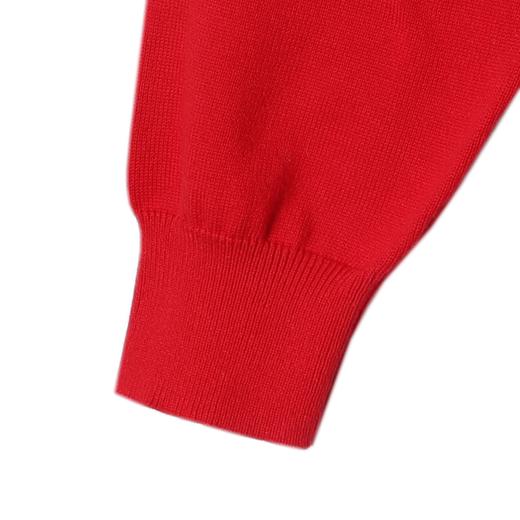 51169SDSA男士秋冬新款痞帅男装纯色毛衣针织衫圆领气质百搭开衫上衣 商品图4