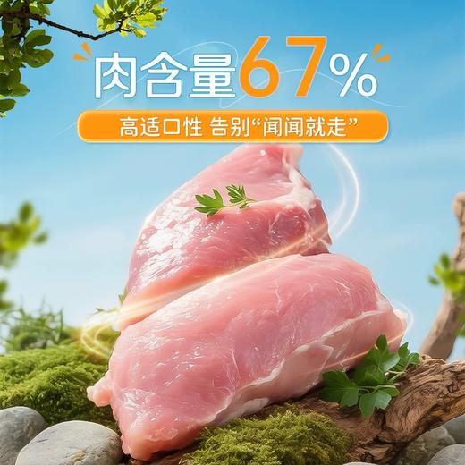 【双12专属活动】谷登拉曼B200维B冻干50g（犬猫通用） 商品图3