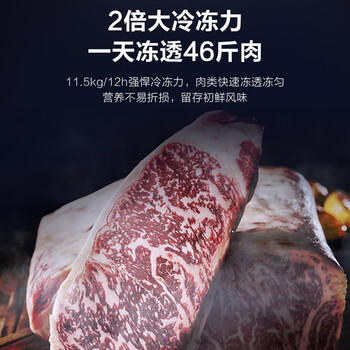 海尔（Haier）253升单温冰柜家用大容量无需频繁除霜冷冻/冷藏小型冰箱BC/BD-253GHPSM 商品图5