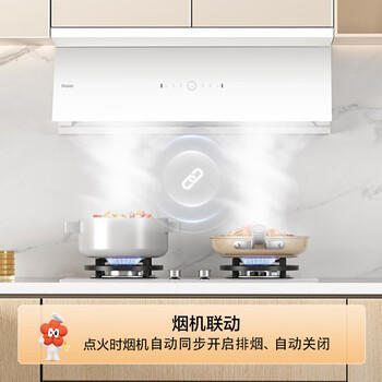 海尔（Haier）【咨询客服购新款定时灶】燃气灶5.2kw天然气双灶台嵌两用 白色面板烟灶联动 68%高热效BEC(天) 商品图6