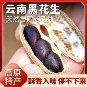 云南老品种黑花生250g/袋 天然富硒的好食材 颗粒大 饱满香脆