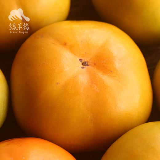 生态脆柿子 | 合作生产*  Ecological Crispy persimmons | Partner Production 商品图3