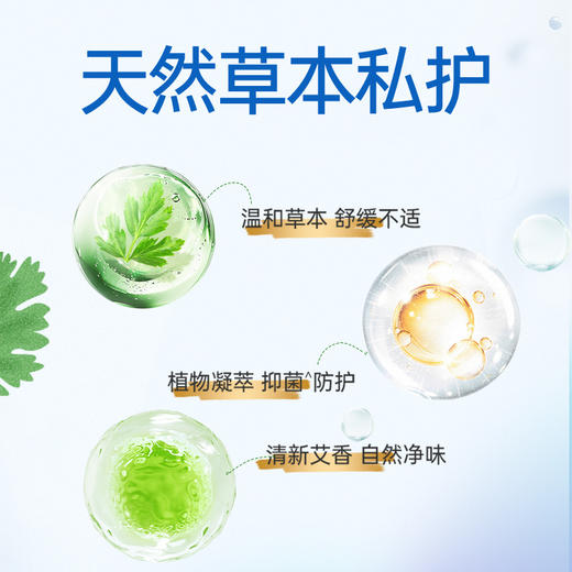 胖东来同款韩国进口恩芝艾草微囊系列卫生巾6包组合 商品图2