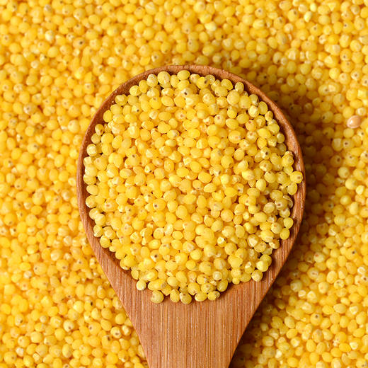 孟克河有机石碾子小米1kg*2 商品图1