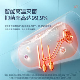 美的（Midea）【整机8年质保】60升电热水器2100W节能省电速热出租屋双重杀菌加长防电墙F60-21WA1