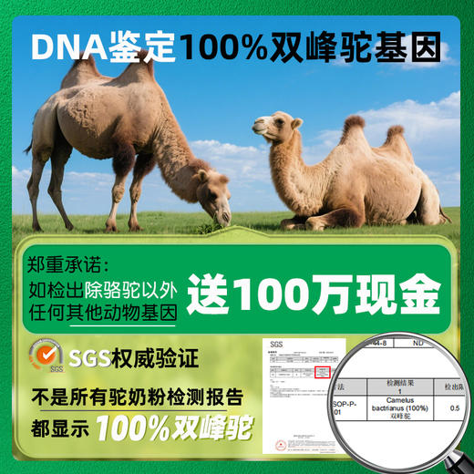 【新品狂欢价】风车牧场 驼奶粉 100%纯骆驼乳粉  中国欧盟双有机 低GI 三高 老年人 商品图2